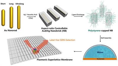 Hierarchical Fabrication of Plasmonic Superlattice Membrane by Aspect-Ratio Controllable Nanobricks for Label-Free Protein Detection